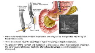 Panendoscope Endoscopic management in pancreatic diseases | PPTX