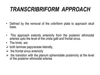 TRANSCRIBRIFORM APPROACH
• Defined by the removal of the cribriform plate to approach skull
base.
• This approach extends anteriorly from the posterior ethmoidal
arteries upto the level of the crista galli and frontal sinus.
• The limits are
 both laminae papyraceae laterally,
 the frontal sinus anteriorly
 the transition with the planum sphenoidale posteriorly at the level
of the posterior ethmoidal arteries
 