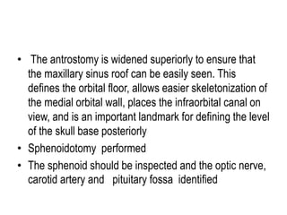 • The antrostomy is widened superiorly to ensure that
the maxillary sinus roof can be easily seen. This
defines the orbital floor, allows easier skeletonization of
the medial orbital wall, places the infraorbital canal on
view, and is an important landmark for defining the level
of the skull base posteriorly
• Sphenoidotomy performed
• The sphenoid should be inspected and the optic nerve,
carotid artery and pituitary fossa identified
 