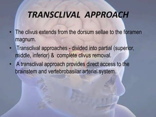 TRANSCLIVAL APPROACH
• The clivus extends from the dorsum sellae to the foramen
magnum.
• Transclival approaches - divided into partial (superior,
middle, inferior) & complete clivus removal.
• A transclival approach provides direct access to the
brainstem and vertebrobasilar arterial system.
 