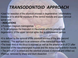 •Used for resection of the odontoid process in degenerative / inflammatory
diseases or to allow for exposure of the ventral medulla and upper cervical
spinal cord.
• INDICATIONS
Foramen magnum meningiomas
 To decompress the brainstem in rheumatoid arthritis patients with
degeneration of the upper cervical spine due to compressive pannus
•It is defined by the removal of the odontoid process of the axis (second
vertebra) . This approach is an extension of the transclival approach.
•The lower third of the clivus is exposed as well as the anterior arch of C1 after
dissection of the nasopharyngeal mucosa and the rectus capitis anterior muscle.
• The arch of C1 is drilled and the odontoid process is exposed and drilled out.
•Pannus removed by sharp and blunt dissection
TRANSODONTOID APPROACH
 
