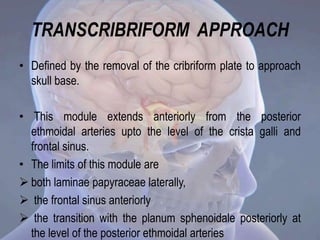 TRANSCRIBRIFORM APPROACH
• Defined by the removal of the cribriform plate to approach
skull base.
• This module extends anteriorly from the posterior
ethmoidal arteries upto the level of the crista galli and
frontal sinus.
• The limits of this module are
 both laminae papyraceae laterally,
 the frontal sinus anteriorly
 the transition with the planum sphenoidale posteriorly at
the level of the posterior ethmoidal arteries
 