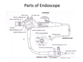 Parts of Endoscope
 