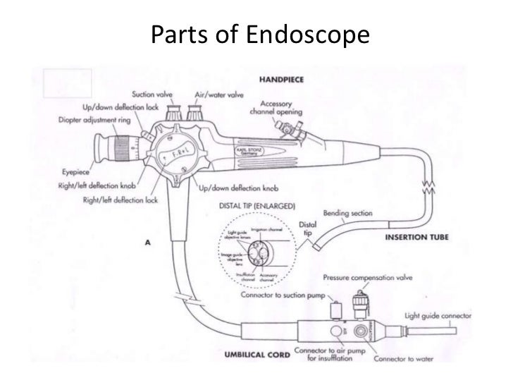 THERAPEUTIC ENDOSCOPY IN GI SURGERY