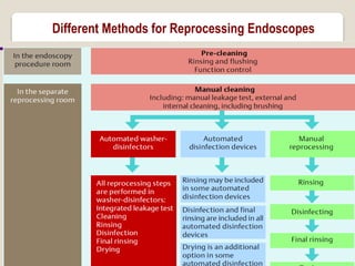 Endoscopy Unit | PDF
