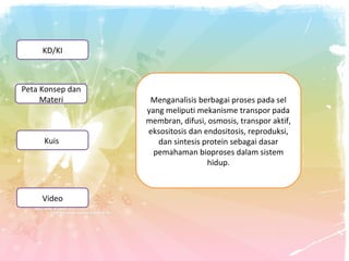 KD/KI

Peta Konsep dan
Materi

Kuis

Video

Menganalisis berbagai proses pada sel
yang meliputi mekanisme transpor pada
membran, difusi, osmosis, transpor aktif,
eksositosis dan endositosis, reproduksi,
dan sintesis protein sebagai dasar
pemahaman bioproses dalam sistem
hidup.

 