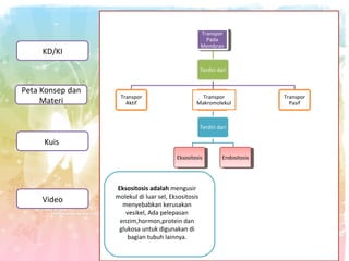 Transpor
Transpor
Pada
Pada
Membran
Membran

KD/KI

Terdiri dari

Peta Konsep dan
Materi

Transpor
Aktif

Transpor
Makromolekul

Terdiri dari

Kuis
Eksositosis
Eksositosis

Video

Eksositosis adalah mengusir
molekul di luar sel, Eksositosis
menyebabkan kerusakan
vesikel, Ada pelepasan
enzim,hormon,protein dan
glukosa untuk digunakan di
bagian tubuh lainnya.

Endositosis
Endositosis

Transpor
Pasif

 