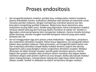 Proses endositosis
• Sel mengambil kedalam molekul, partikel atau molekul polar melalui membran
plasma hidrofobik mereka. Endositosis dilakukan oleh banyak sel eukariotik untuk
menelan partikel makanan, dengan memperluas membran plasma luar dan
kemudian mengelilingi partikel makanan. Mekanisme dasar eksositosis atau
endositosis kurang lebih sama. Vesikel yang digunakan untuk transportasi molekul.
Vesikula adalah kantung kecil tertutup dalam membran di sekitar sel. Vesikel ini
digunakan untuk penyimpanan dan transportasi makanan. Karena mereka tertutup
dalam kantung, mereka mungkin memiliki komposisi internal yang sama sekali
berbeda dari sel.
• Sel-sel menggunakan tiga jenis proses untuk endositosis – fagositosis, pinositosis
dan endositosis dimediasi reseptor. Dalam kasus fagositosis, sel mengambil dalam
bakteri atau partikel makanan. Pada pinositosis, sel mengambil dalam bahan cair.
Dan endositosis dimediasi terjadi ketika molekul tertentu seperti low density
lipoprotein (LDL) yang diangkut melalui endositosis dimediasi reseptor. Molekul
ditranspor ke lokasi terjepit reseptor spesifik pada membran plasma. Interior
bagian dari protein reseptor akan tertanam dalam membran dan bagian dalam
membran dilapisi oleh protein clathrin di area terjepit. Ketika ada banyak molekul
dalam lubang berlapis, memperdalam lubang dan segel lepas dalam bentuk
dilapisi vesikel. Vesikel ini dilakukan ke dalam sel bersama dengan molekul.
 