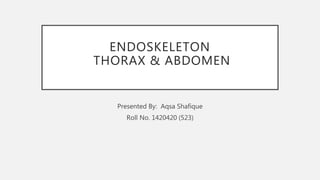 ENDOSKELETON
THORAX & ABDOMEN
Presented By: Aqsa Shafique
Roll No. 1420420 (523)
 