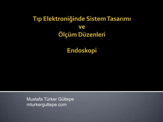 Mustafa Türker Gültepe
mturkergultepe.com
 