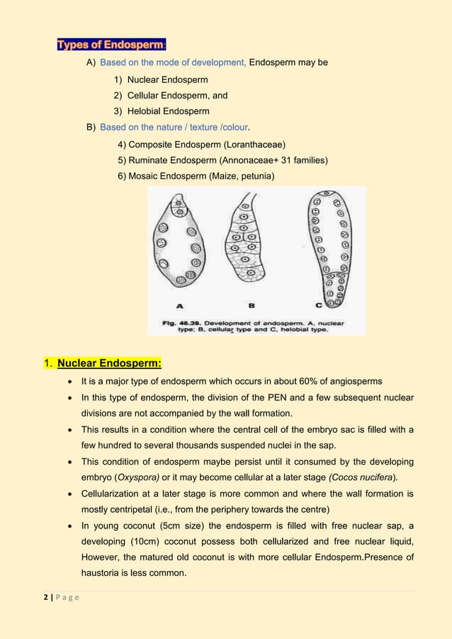 Endosperm in Angiosperms PDF