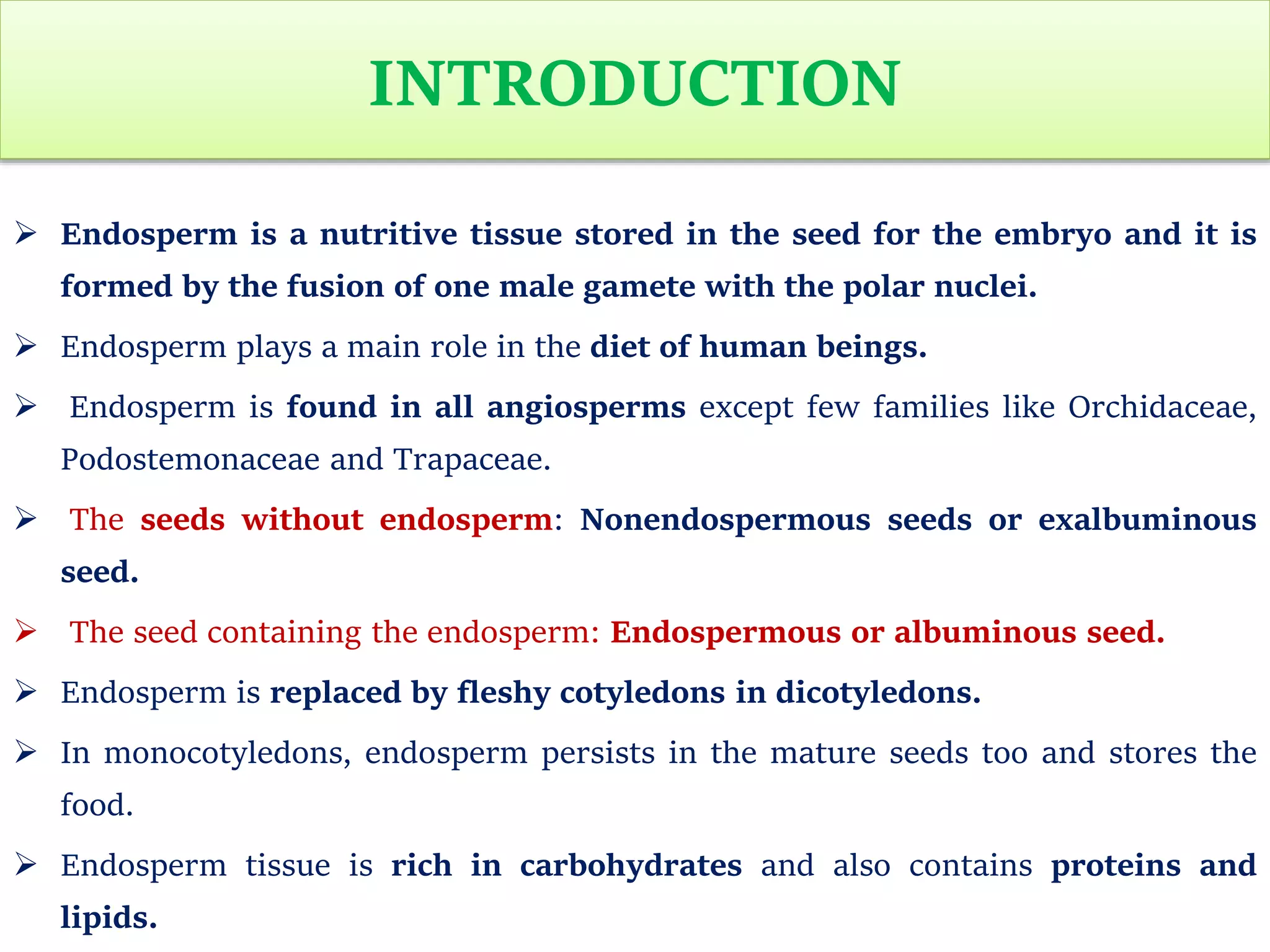 ENDOSPERM.pptx