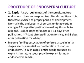 PROCEDURE OF ENDOSPERM CULTURE
• 1. Explant source: In most of the cereals, mature
endosperm does not respond to cultural conditions. It is
therefore, excised at proper period of development.
Normally the endosperm of cereals undergo certain
changes 12 days after pollination making this able to
respond. Proper stage for maize is 8-11 days after
pollination, 4-7 days after pollination for rice, and 8 days
after pollination for wheat.
• In some families association of embryo tissue in initial
stages seems essential for proliferation of mature
endosperm. In such cases, entire seeds are used as
explant. Immature seeds provide explant for non-
endospermic seeds.
 