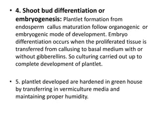 • 4. Shoot bud differentiation or
embryogenesis: Plantlet formation from
endosperm callus maturation follow organogenic or
embryogenic mode of development. Embryo
differentiation occurs when the proliferated tissue is
transferred from callusing to basal medium with or
without gibberellins. So culturing carried out up to
complete development of plantlet.
• 5. plantlet developed are hardened in green house
by transferring in vermiculture media and
maintaining proper humidity.
 
