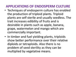 APPLICATIONS OF ENDOSPERM CULTURE
• Techniques of endosperm culture has enabled
the production of triploid plants. Triploid
plants are self sterile and usually seedless. The
trait increases edibility of fruits and is
desirable in plants such as apple, banana,
grape, watermelon and mango which are
commercially important.
• In timber and fuel yielding plants, triploids
show better performance over their relative
diploids or tetraploids. Also there is no
problem of seed sterility as they can be
multiplied by vegetative means.
 