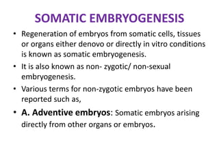 SOMATIC EMBRYOGENESIS
• Regeneration of embryos from somatic cells, tissues
or organs either denovo or directly in vitro conditions
is known as somatic embryogenesis.
• It is also known as non- zygotic/ non-sexual
embryogenesis.
• Various terms for non-zygotic embryos have been
reported such as,
• A. Adventive embryos: Somatic embryos arising
directly from other organs or embryos.
 