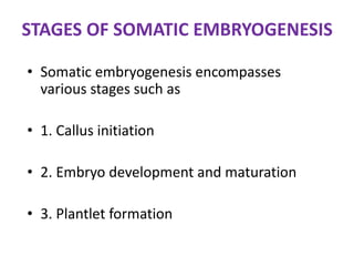 STAGES OF SOMATIC EMBRYOGENESIS
• Somatic embryogenesis encompasses
various stages such as
• 1. Callus initiation
• 2. Embryo development and maturation
• 3. Plantlet formation
 