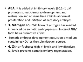 • ABA: It is added at inhibitory levels @0.1- 1 μM
promotes somatic embryo development and
maturation and at same time inhibits abnormal
proliferation and initiation of accessory embryos.
• 3. Nitrogen source: Form of nitrogen has marked
influenced on somatic embryogenesis. In carrot NH₄⁺
form has a promotive effect.
• Somatic embryos development occurs on a medium
containing NO₃⁻ as the sole nitrogen source.
• 4. Other factors: High K⁺ levels and low dissolved
O₂ levels prevents somatic embryo regeneration.
 