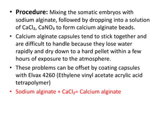 • Procedure: Mixing the somatic embryos with
sodium alginate, followed by dropping into a solution
of CaCl₂, CaNO₃ to form calcium alginate beads.
• Calcium alginate capsules tend to stick together and
are difficult to handle because they lose water
rapidly and dry down to a hard pellet within a few
hours of exposure to the atmosphere.
• These problems can be offset by coating capsules
with Elvax 4260 (Ethylene vinyl acetate acrylic acid
tetrapolymer)
• Sodium alginate + CaCl₂= Calcium alginate
 