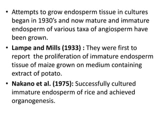 • Attempts to grow endosperm tissue in cultures
began in 1930’s and now mature and immature
endosperm of various taxa of angiosperm have
been grown.
• Lampe and Mills (1933) : They were first to
report the proliferation of immature endosperm
tissue of maize grown on medium containing
extract of potato.
• Nakano et al. (1975): Successfully cultured
immature endosperm of rice and achieved
organogenesis.
 