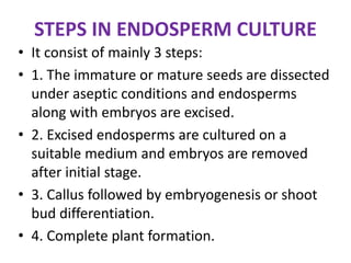 STEPS IN ENDOSPERM CULTURE
• It consist of mainly 3 steps:
• 1. The immature or mature seeds are dissected
under aseptic conditions and endosperms
along with embryos are excised.
• 2. Excised endosperms are cultured on a
suitable medium and embryos are removed
after initial stage.
• 3. Callus followed by embryogenesis or shoot
bud differentiation.
• 4. Complete plant formation.
 