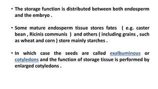 • The storage function is distributed between both endosperm
and the embryo .
• Some mature endosperm tissue stores fates ( e.g. caster
bean , Ricinis communis ) and others ( including grains , such
as wheat and corn ) store mainly starches .
• In which case the seeds are called exalbuminous or
cotyledons and the function of storage tissue is performed by
enlarged cotyledons .
 
