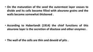 • On the maturation of the seed the outermost layer ceases to
divide and its cells become filled with aleurone grains and the
walls become somewhat thickened .
• According to Haberlandt (1914) the chief functions of this
aleurone layer is the secretion of diastase and other enzymes .
• The wall of the cells are thin and devoid of pits .
 