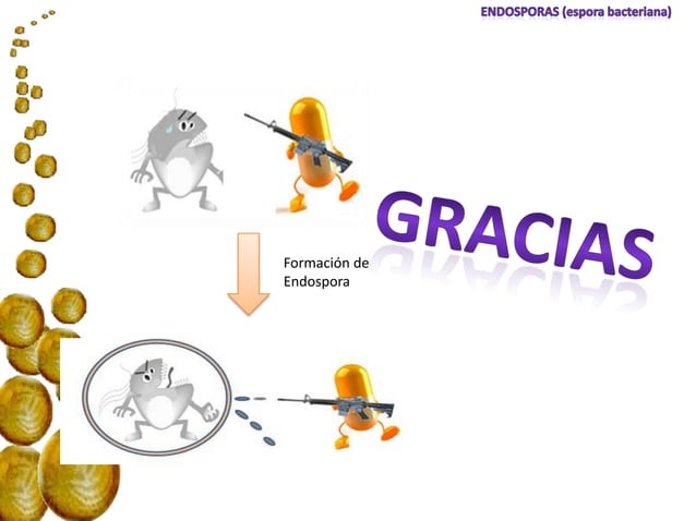 Endospora