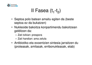 II Fasea (t1-t2)
• Septoa polo batean amaitu egiten da (beste
  septoa ez da bukatzen)
• Nukleoide bakoitza konpartimendu bakoitzean
  gelditzen da:
   – Zati txikian: prespora
   – Zati handian: ama zelula
• Antibiotiko eta exoentzien sintesia jarraitzen du
  (proteasak, amilasak, erribonukleasak, etab)
 