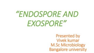 Presented by
Vivek kumar
M.Sc Microbiology
Bangalore university
“ENDOSPORE AND
EXOSPORE”
 