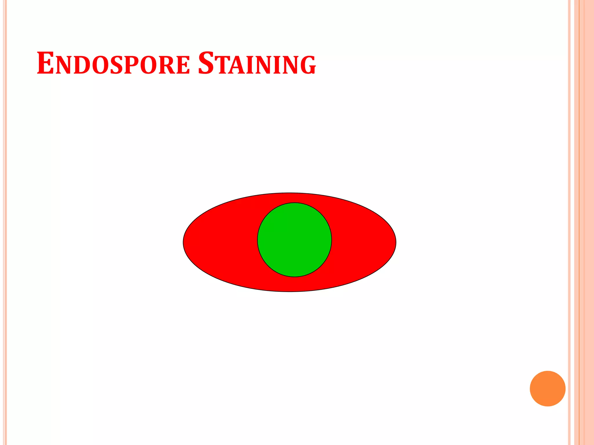ENDOSPORE STAINING
 