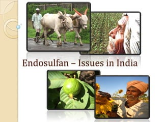 Endosulfan – Issues in India
 