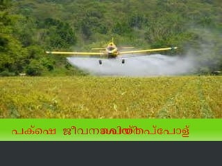 പക്ഷെ   ജീവനാശിനി പെയ്തപ്പോള്‍ 