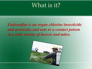 What is it? Endosulfan is an organ chlorine insecticide and acaricide, and acts as a contact poison in a wide variety of insects and mites.  