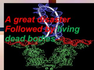 A great disaster Followed by  living dead bodies 