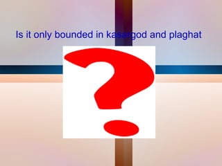 Is it only bounded in kasargod and plaghat 