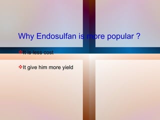 Why Endosulfan is more popular ? It is less cost  It give him more yield  