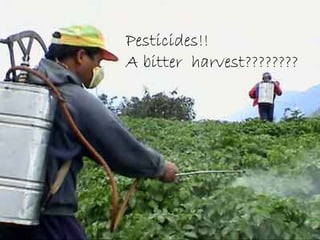 Pesticides!!
A bitter harvest????????
 