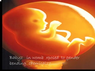 Babyz in womb xposed to gender
bending chemicalzz……
 