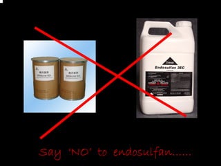 Say ‘NO’ to endosulfan……
 