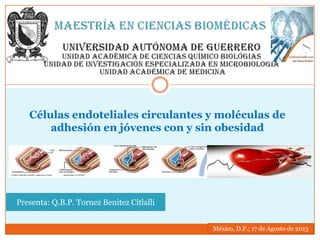 Células endoteliales circulantes y moléculas de
adhesión en jóvenes con y sin obesidad
Presenta: Q.B.P. Tornez Benitez Citlalli
México, D.F.; 17 de Agosto de 2013
 