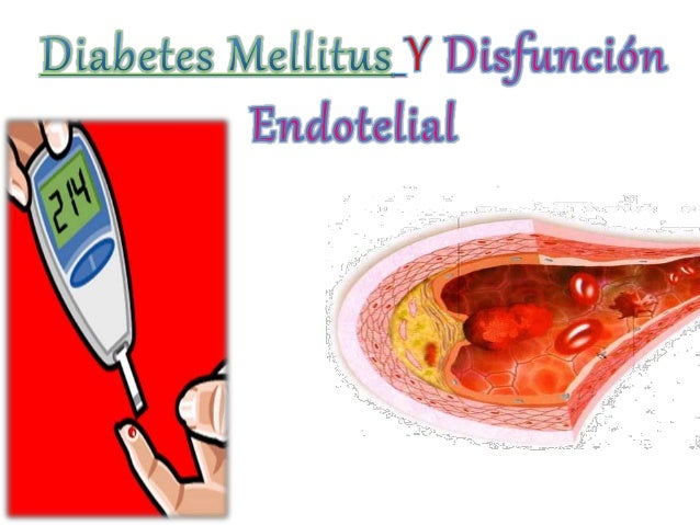 disfunción endotelial en diabetes mellitus
