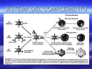 SISTEMA DEL COMPLEMENTO 
