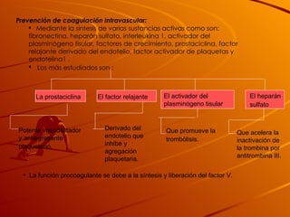 Prevención de coagulación intravascular:   Mediante la síntesis de varias sustancias activas como son: fibronectina, heparán sulfato, interleukina 1, activador del plasminógeno tisular, factores de crecimiento, prostaciclina, factor relajante derivado del endotelio, factor activador de plaquetas y endotelina1 . Los más estudiados son : La prostaciclina   Potente vasodilatador y antiagregante plaquetario.   El factor relajante   Derivado del endotelio que inhibe y agregación plaquetaria.   El activador del plasminógeno tisular   Que promueve la trombólisis.   El heparán sulfato   Que acelera la inactivación de la trombina por antitrombina III.   La función procoagulante se debe a la síntesis y liberación del factor V. 