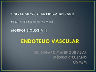 ENDOTELIO VASCULAR DR. EDGARD MANRIQUE ALVA MÉDICO CIRUJANO UNMSM 