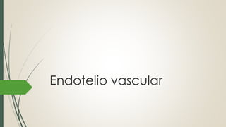 Endotelio vascular
 