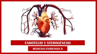 ENDOTELIO Y ATEROGÉNESIS
MEDICINA/FISIOLOGIA II
 