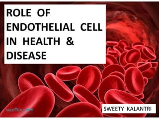 ROLE OF
ENDOTHELIAL CELL
IN HEALTH &
DISEASE
SWEETY KALANTRI
 