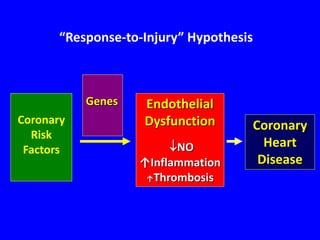 Coronary
Heart
Disease
Endothelial
Dysfunction
NO
↑Inflammation
↑Thrombosis
“Response-to-Injury” Hypothesis
Genes
Coronary
Risk
Factors
 