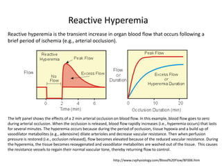 http://www.cvphysiology.com/Blood%20Flow/BF006.htm
Reactive Hyperemia
Reactive hyperemia is the transient increase in organ blood flow that occurs following a
brief period of ischemia (e.g., arterial occlusion).
The left panel shows the effects of a 2 min arterial occlusion on blood flow. In this example, blood flow goes to zero
during arterial occlusion. When the occlusion is released, blood flow rapidly increases (i.e., hyperemia occurs) that lasts
for several minutes. The hyperemia occurs because during the period of occlusion, tissue hypoxia and a build up of
vasodilator metabolites (e.g., adenosine) dilate arterioles and decrease vascular resistance. Then when perfusion
pressure is restored (i.e., occlusion released), flow becomes elevated because of the reduced vascular resistance. During
the hyperemia, the tissue becomes reoxygenated and vasodilator metabolites are washed out of the tissue. This causes
the resistance vessels to regain their normal vascular tone, thereby returning flow to control.
 